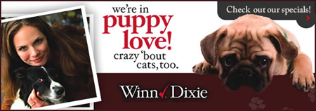 winndixie.jpg