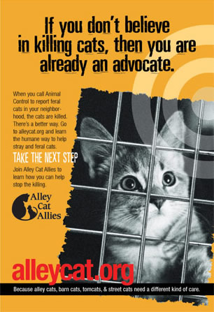 cat_advocate.jpg