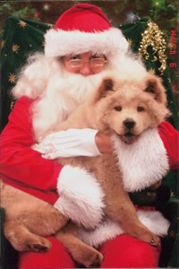 chow_santa.jpg