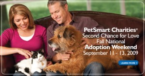 adoptfall adoptfall