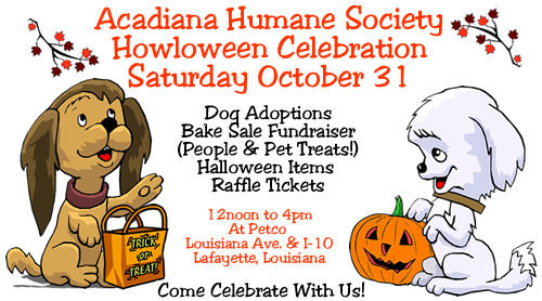 howloween1a500 howloween1a500