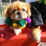 2013-02-02 13.53.11-1