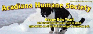 AHSNewYearCover