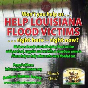 Help After the Flood 